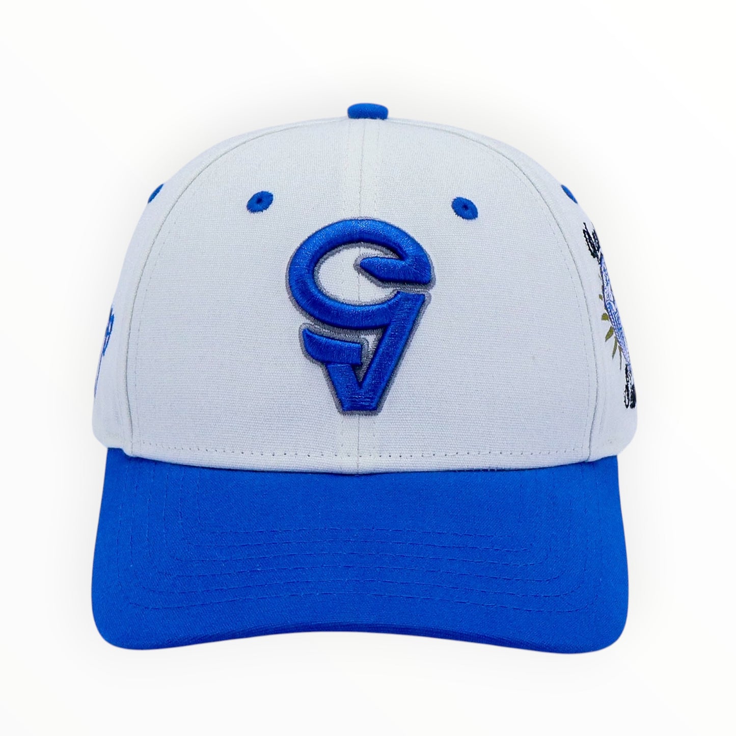 GORRA CMYK EDITION - DIAMOND SERIES